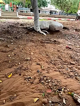 Snapshot of lunarous98 chatting on January 2026 05:18:02 PM lunarous98 online show from January 2026 05:18:02 PM