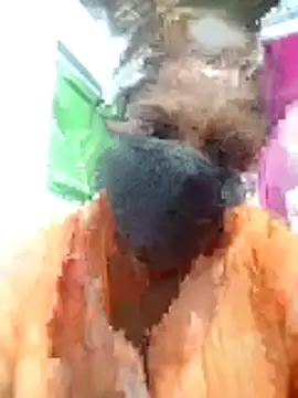 tamilvenila online show from January 2026 04:44:01 PM