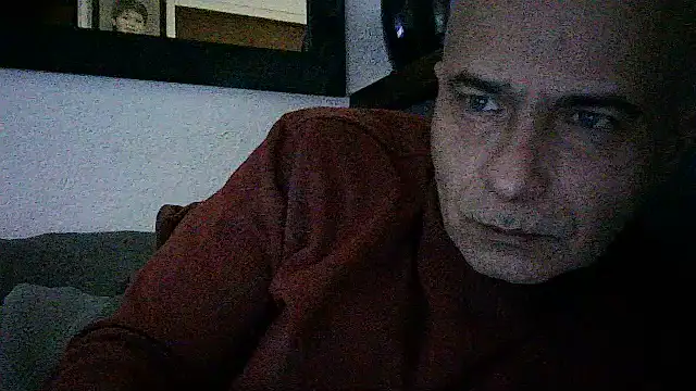dogfrota online show from June 2026 08:22:02 PM