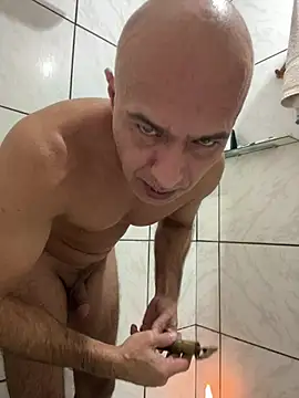 dogfrota online show from July 2026 10:52:01 PM