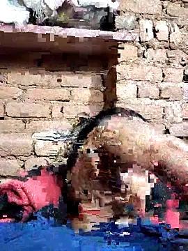 Hot di97 online show from February 2026 08:38:01 PM