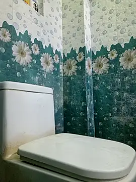 Snapshot of vaanavil chatting on October 2025 12:05:02 PM vaanavil online show from October 2025 12:05:02 PM