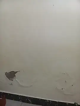 Snapshot of PatriciaVen chatting on February 2026 05:44:02 AM PatriciaVen online show from February 2026 05:44:02 AM