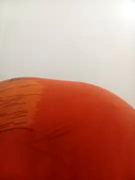 Snapshot of PatriciaVen chatting on February 2026 04:16:02 AM PatriciaVen online show from February 2026 04:16:02 AM