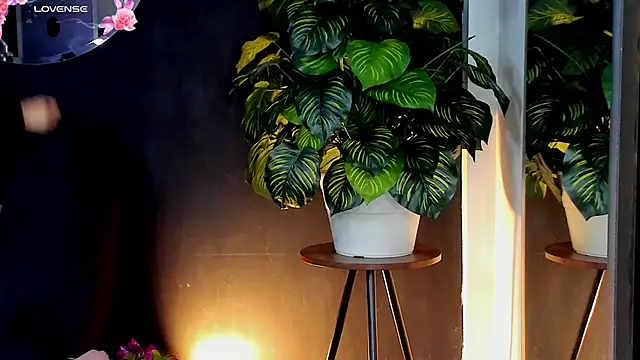 Noaah25  online show from April 2026 03:23:02 AM