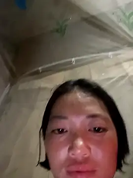 kotaka-shoow online show from February 2026 10:41:02 AM