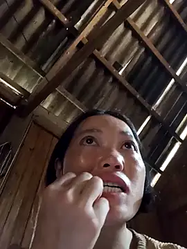 kotaka-shoow online show from March 2026 05:41:01 AM