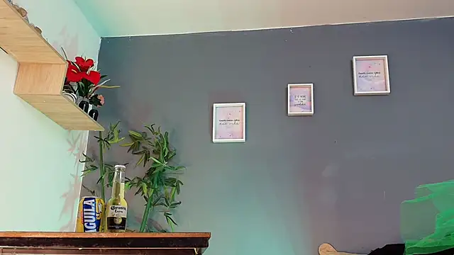 sofia laverde online show from March 2026 07:06:02 PM