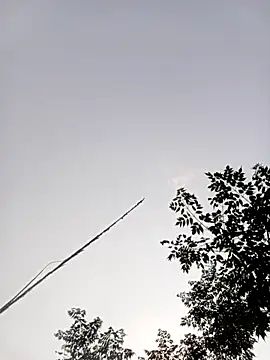 Snapshot of LISAA-6969 chatting on April 2026 08:10:01 AM LISAA-6969 online show from April 2026 08:10:01 AM