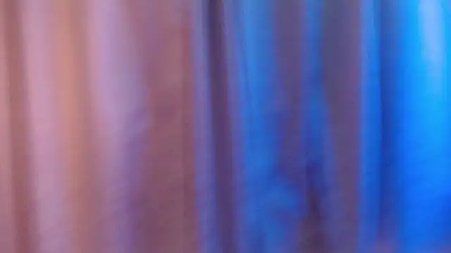 Snapshot of Dafne-art chatting on February 2026 01:50:02 PM Dafne-art online show from February 2026 01:50:02 PM