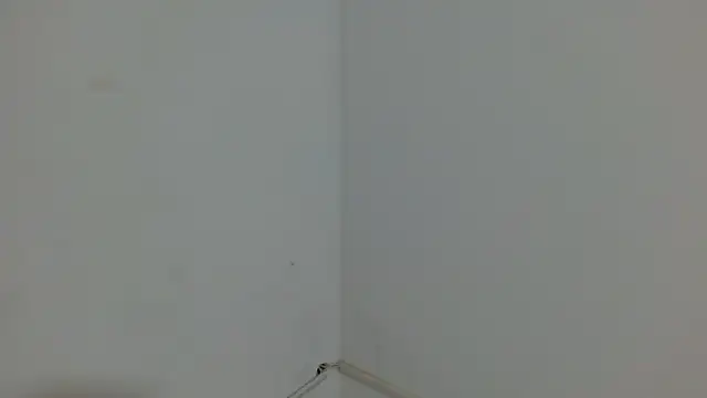 princess1609 online show from March 2026 01:17:02 PM