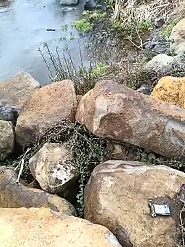 costt2 online show from January 2026 11:03:01 AM