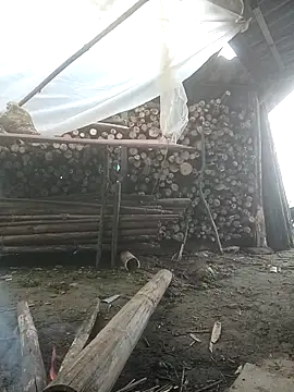 Snapshot of cutebobi chatting on February 2026 06:40:02 AM cutebobi online show from February 2026 06:40:02 AM