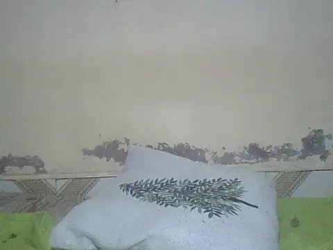 Snapshot of Sexyass100 chatting on July 2026 07:41:01 PM Sexyass100 online show from July 2026 07:41:01 PM