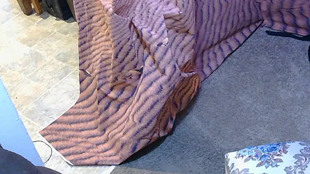 Snapshot of BusyB1983 chatting on March 2026 12:54:01 PM BusyB1983 online show from March 2026 12:54:01 PM