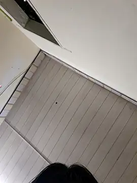 Pinks cool online show from April 2026 03:29:01 AM