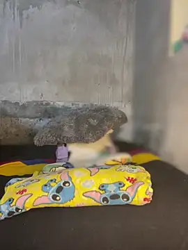 Iam AlexandraRey online show from February 2026 07:02:01 AM