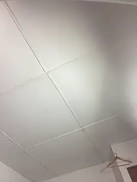 vanilla Kush online show from March 2026 08:09:01 AM