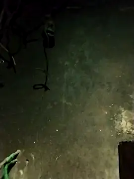 Hoa-tuylip online show from February 2026 01:29:02 PM