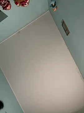 Aloyenita online show from February 2026 01:39:01 PM