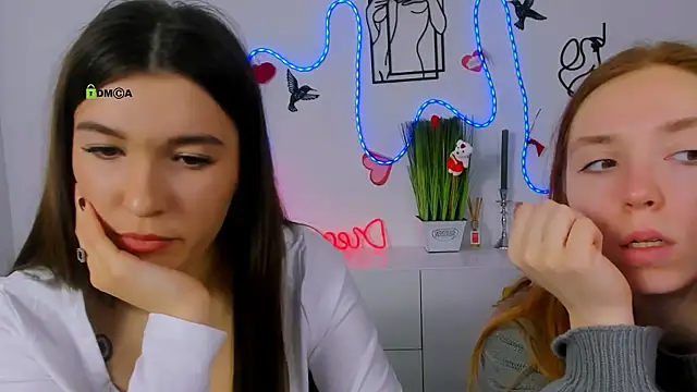 stella flower online show from February 2026 09:30:01 AM