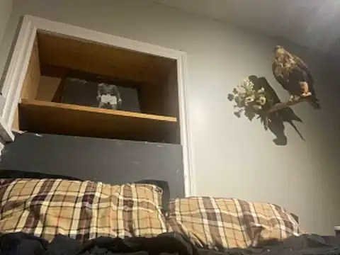 Snapshot of yourwhiteboy1 chatting on March 2026 03:08:01 AM yourwhiteboy1 online show from March 2026 03:08:01 AM