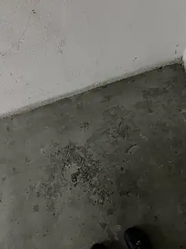 Wvpppp online show from April 2026 05:32:01 PM