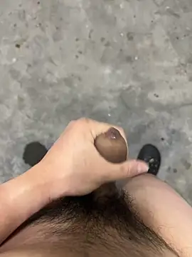 Wvpppp online show from April 2026 09:54:01 AM