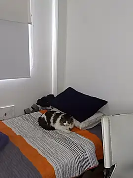 Snapshot of Nikolth_4 chatting on February 2026 03:18:01 PM Nikolth 4 online show from February 2026 03:18:01 PM