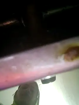 Snapshot of khushi_rawat chatting on February 2026 02:17:02 AM khushi rawat online show from February 2026 02:17:02 AM