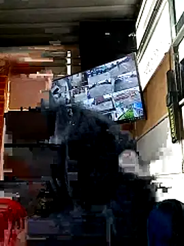 Cati cat3 online show from February 2026 01:01:02 PM