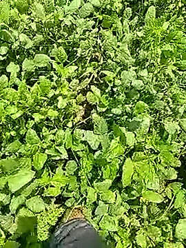 Cute Boy 4 online show from April 2026 06:30:01 AM