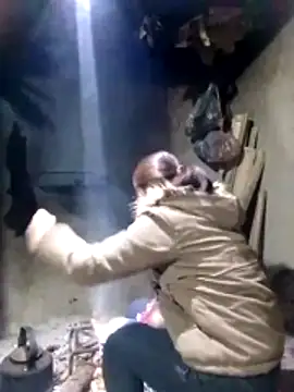 maimai1100 online show from February 2026 12:42:02 AM