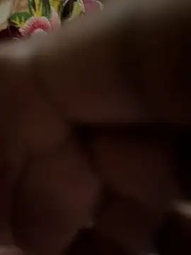 Snapshot of Pritu675 chatting on February 2026 03:42:01 PM Pritu675 online show from February 2026 03:42:01 PM