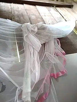 Domita cool online show from April 2026 06:47:02 AM