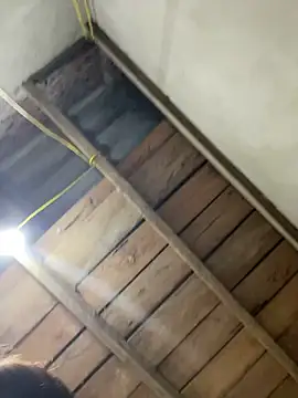 2b-xx online show from March 2026 04:07:02 AM