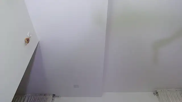  luisaeliza  online show from July 2026 11:23:01 AM