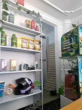 Tatianna Loove  online show from March 2026 02:55:01 PM