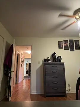 FireAfterDark online show from April 2026 12:17:01 AM