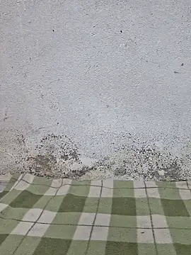 Mey mey2k3 online show from March 2026 04:48:01 AM