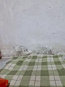 Mey mey2k3 online show from March 2026 02:16:01 AM