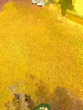 michaarMichaels online show from April 2026 06:54:01 AM