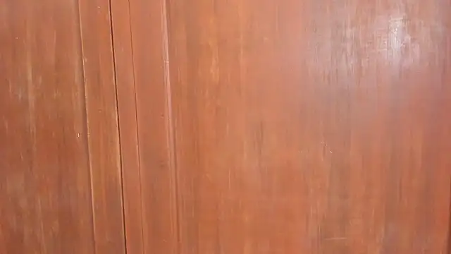 Snapshot of Sophiia88 chatting on February 2026 12:01:02 PM Sophiia88 online show from February 2026 12:01:02 PM