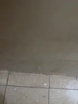 torchermachine online show from April 2026 07:07:02 PM