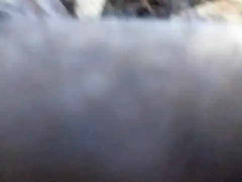 Snapshot of Joecool1009 chatting on February 2026 12:31:01 AM Joecool1009 online show from February 2026 12:31:01 AM