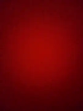 Pelloz online show from February 2026 09:37:01 AM