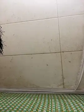 Miu Xinh online show from April 2026 06:19:02 PM