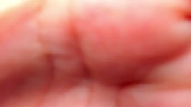 Snapshot of RinaFox__ chatting on February 2026 01:17:01 AM RinaFox online show from February 2026 01:17:01 AM