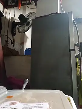 Snapshot of Wildcam21 chatting on February 2026 09:51:02 AM Wildcam21 online show from February 2026 09:51:02 AM