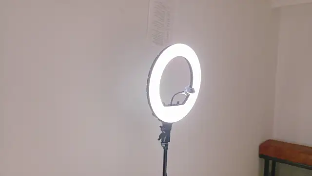 FernandaBrown   online show from February 2026 12:36:01 PM